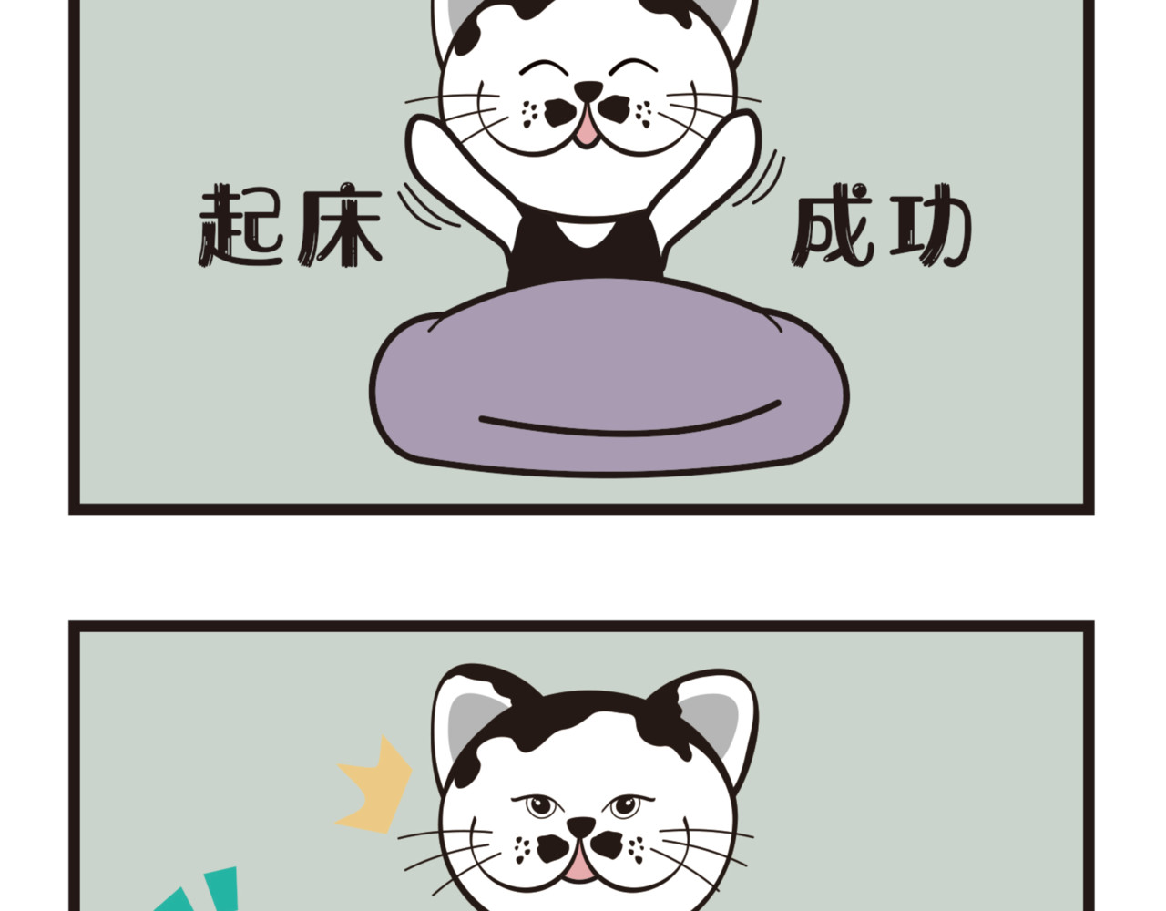 学霸猫Moni的大学生活 未来可期？？ 第12页