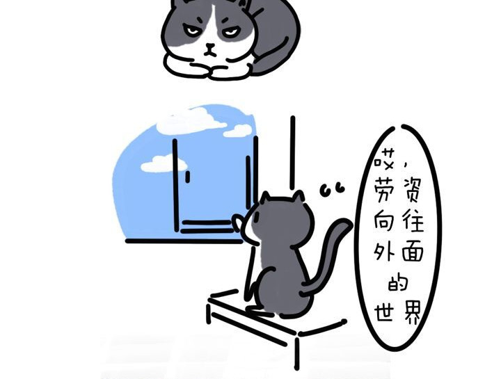 我和女儿 家里多了只猫 第8页