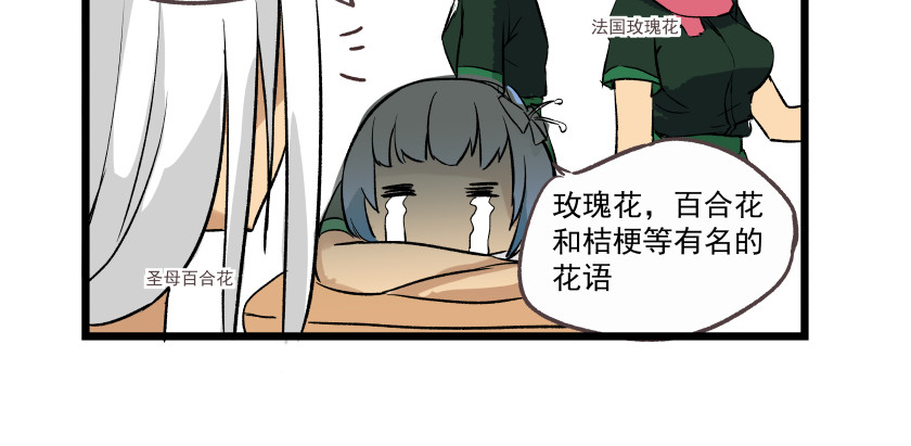 关于生日花语的那些事 第4页