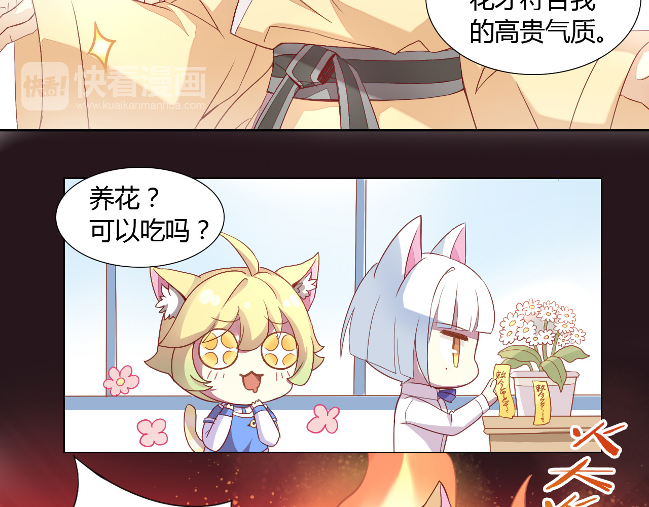 猫爪之下 第2话  守护者花花 第48页