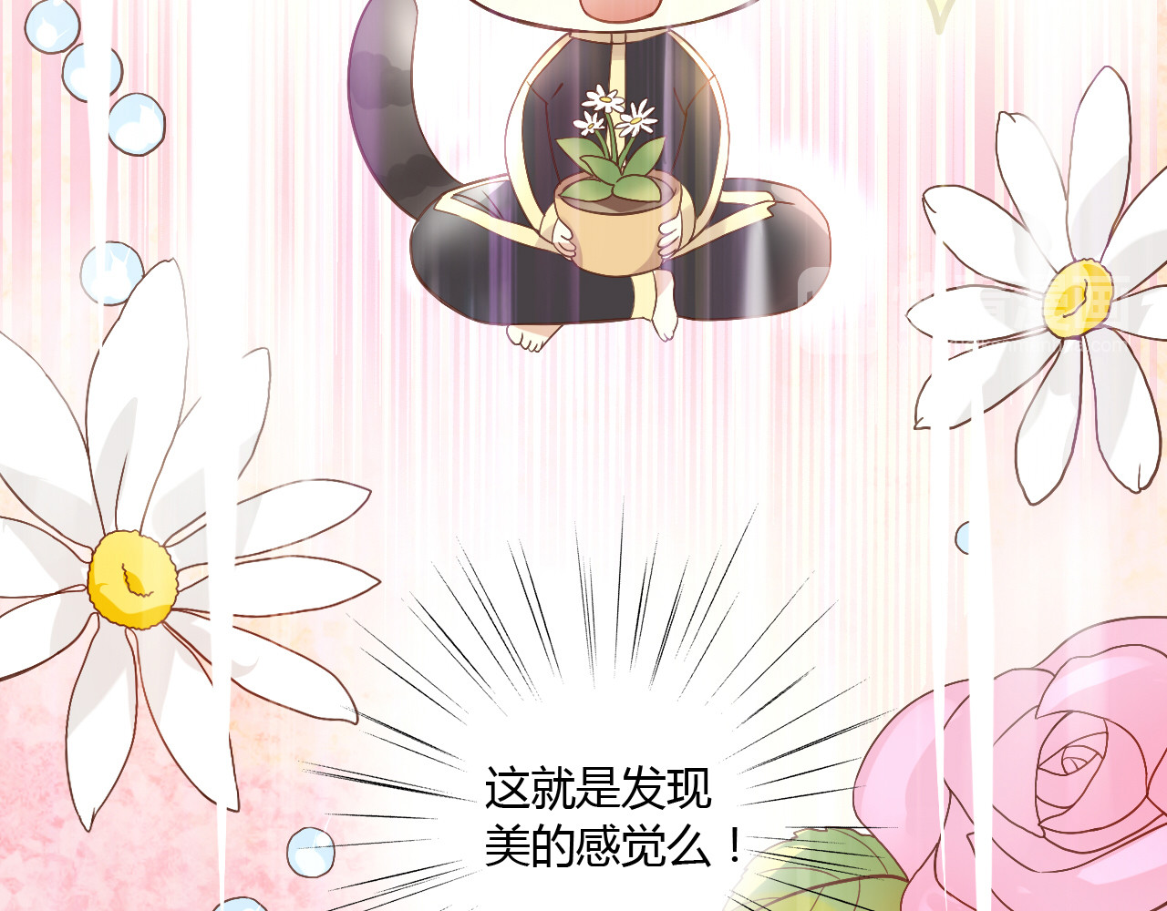 猫爪之下 第2话  守护者花花 第69页