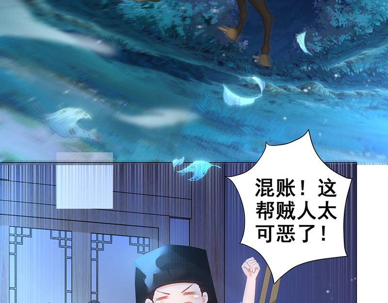 女驸马 偷书贼现身 第71页