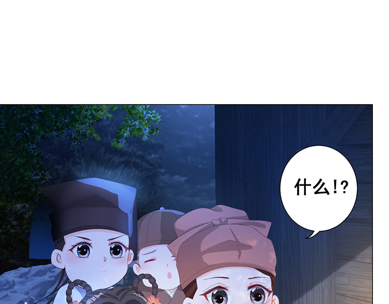 女驸马 齐心御贼人 第29页