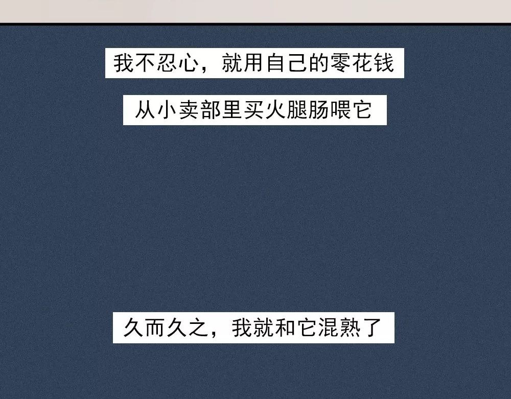 爱情故事漫画 第8页