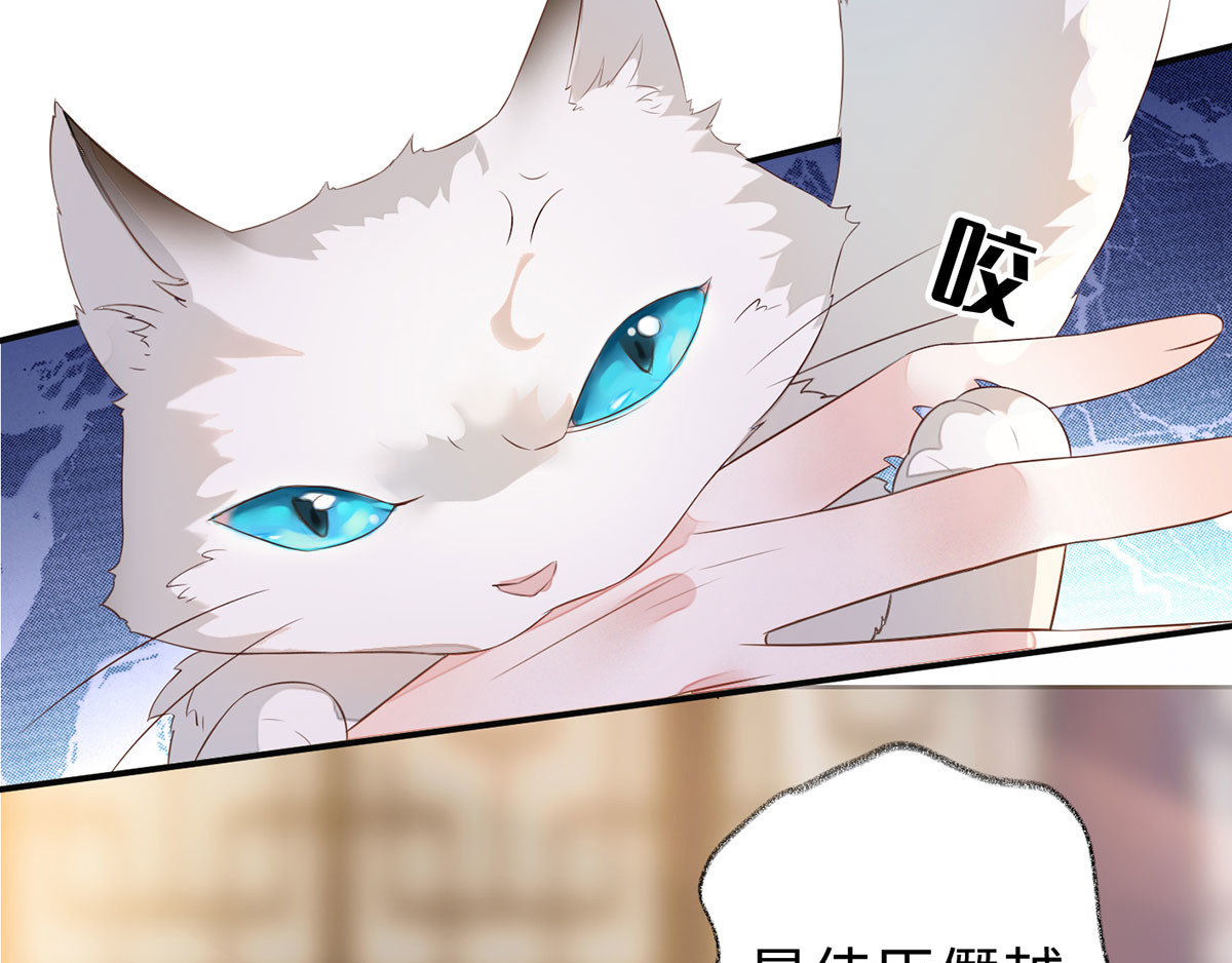 太后裙下臣 第3话 说好的忠贞不二呢？ 第14页