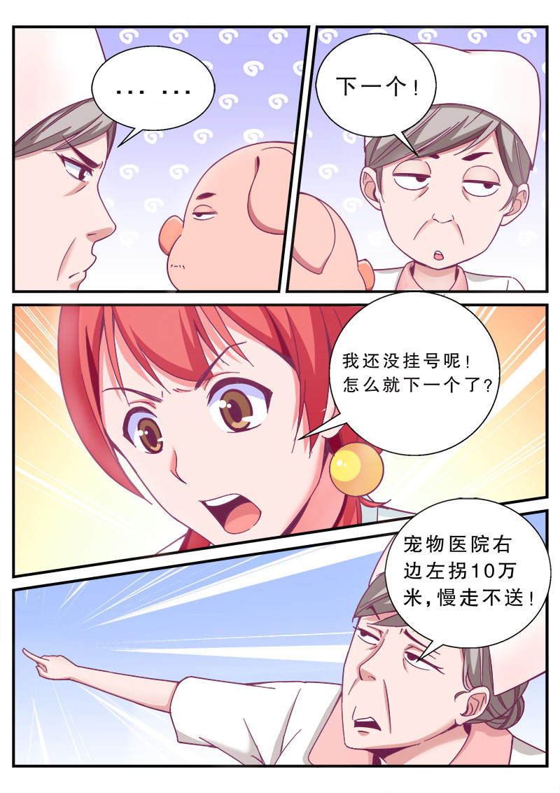 老爸是头猪 医院风波 第6页