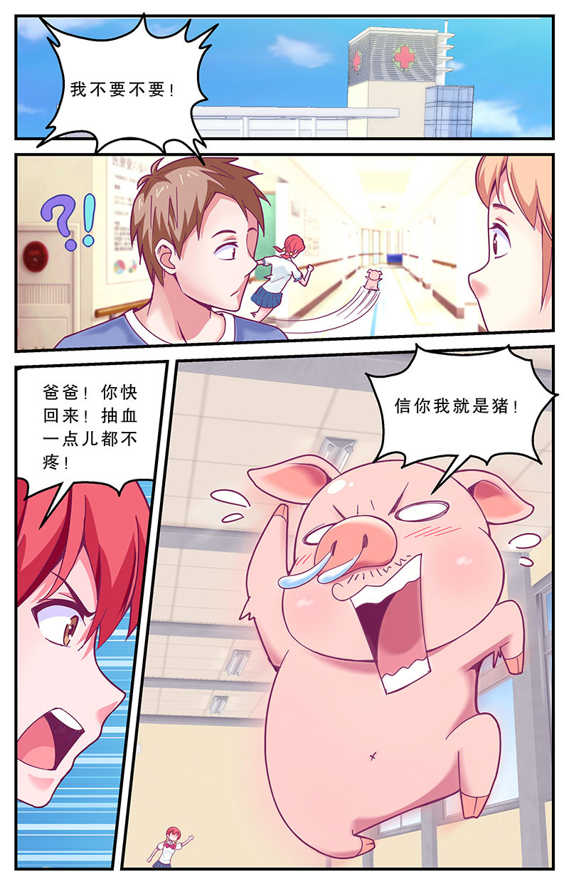 老爸是头猪 误会 第2页