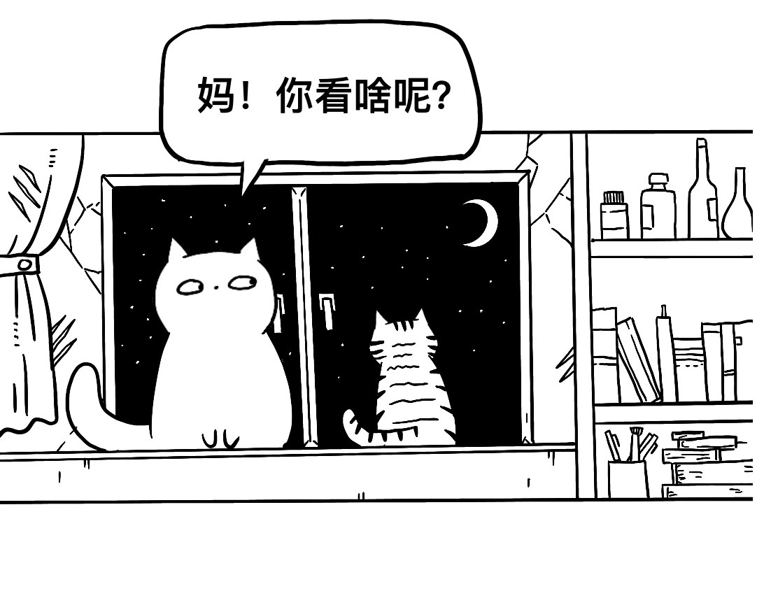 三文与小白 第2页