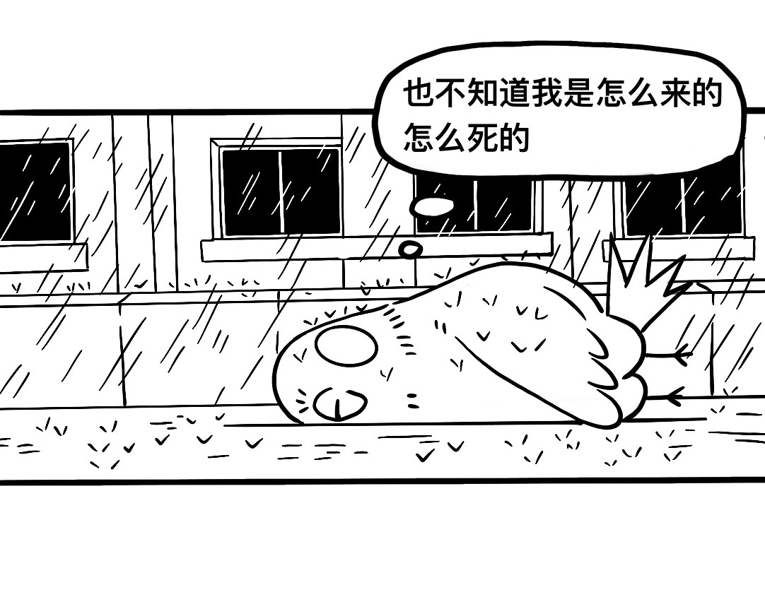 三文与小白 第一话 第17页