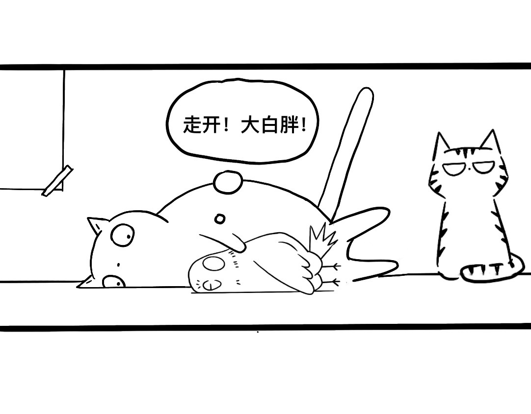 三文与小白 第二话 第4页