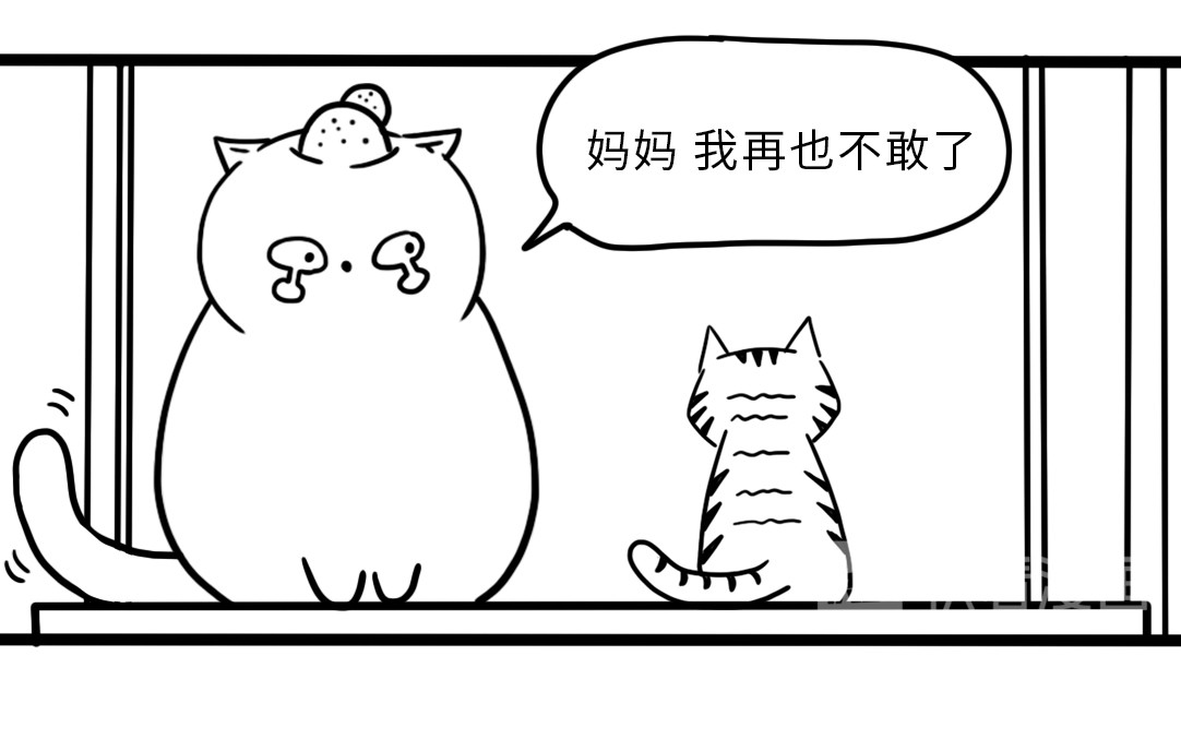 三文与小白 第四话 第7页