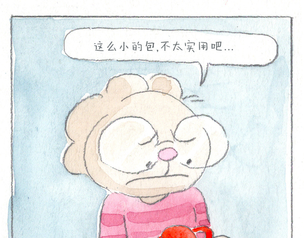 阿美是只猪 实用的包包 第6页