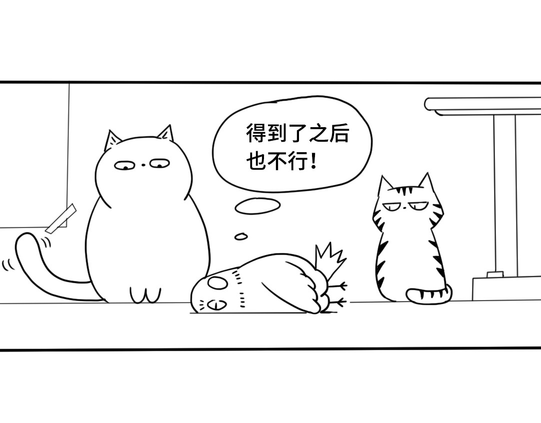 三文与小白 第六话 第10页