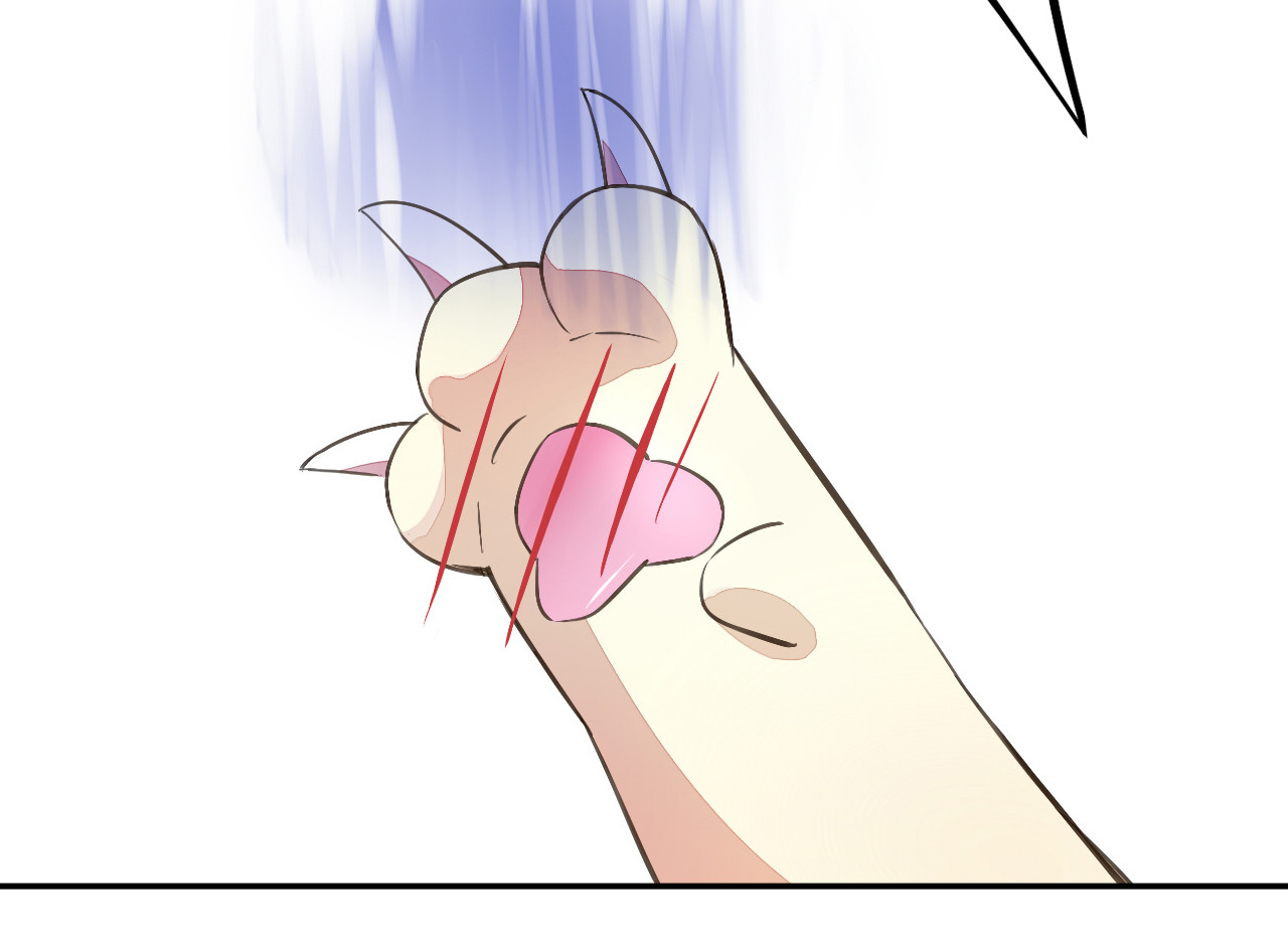 猫爪之下 第5话  我叫泰日天！ 第71页