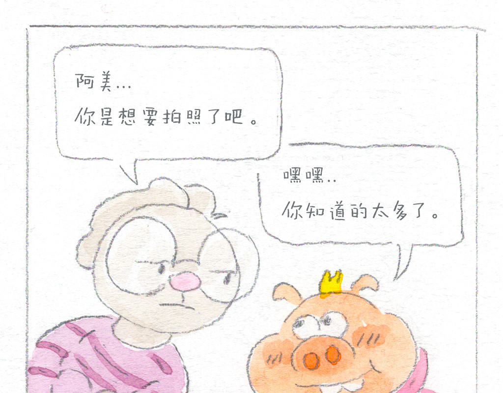 阿美是只猪 美丽的代价 第12页