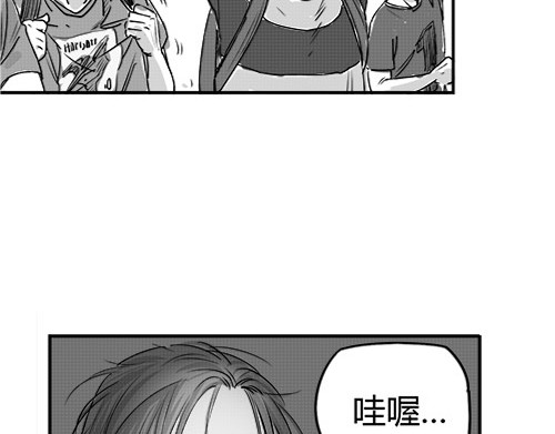 B ROSE 6 另辟蹊径 第43页