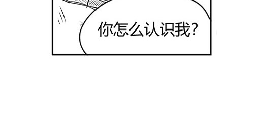 B ROSE 6 另辟蹊径 第70页