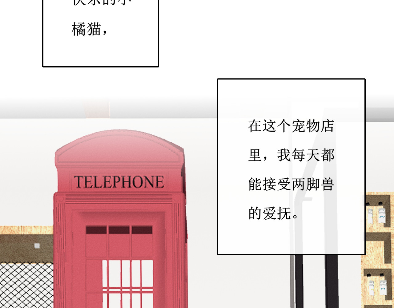 猫里狗气 第一话 药水 第12页