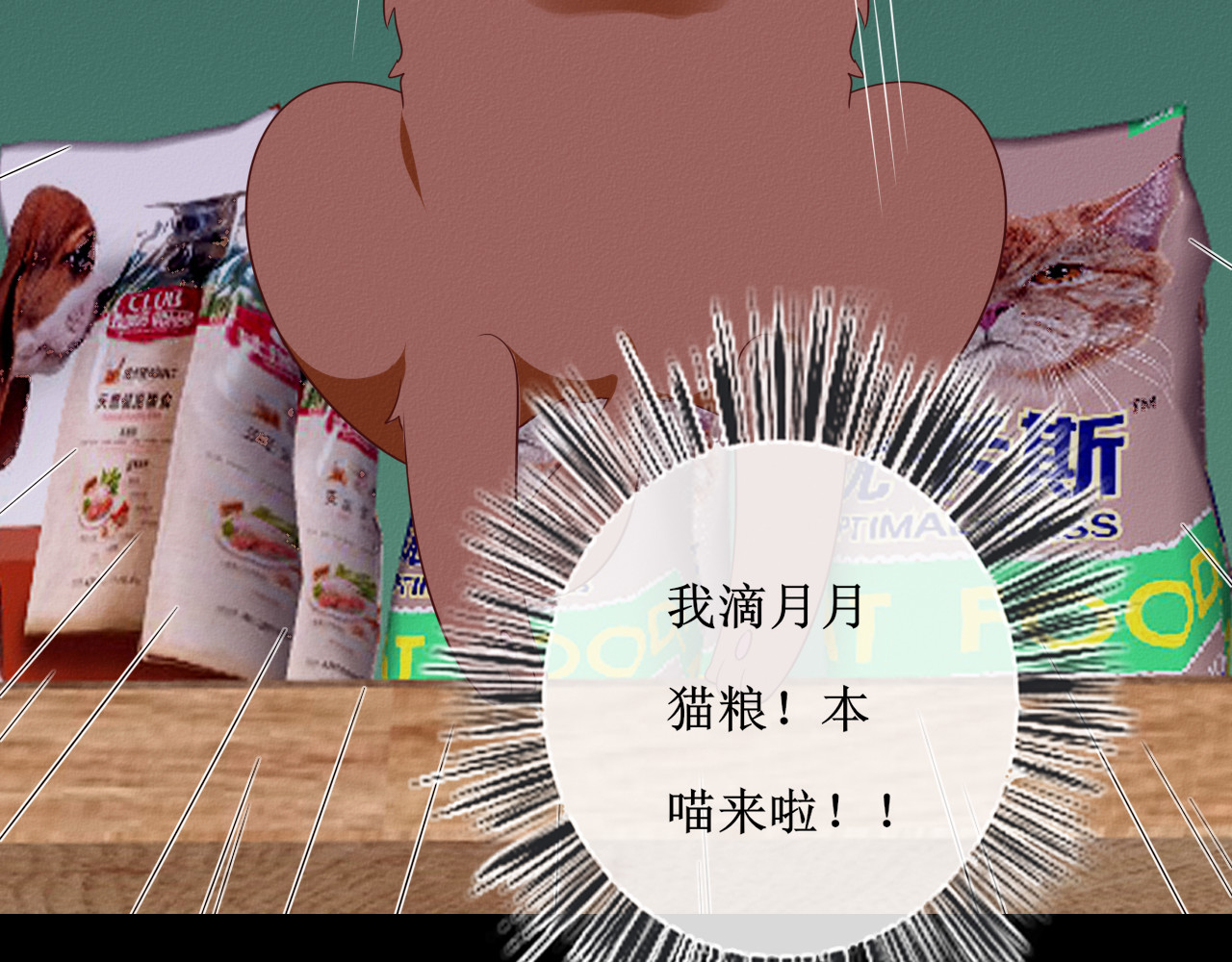 猫里狗气 第一话 药水 第33页
