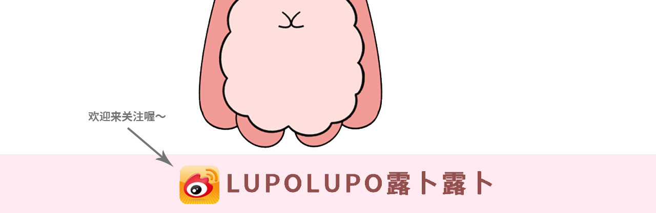 LUPOLUPO 菲牙兔和葡萄牙牙 第37页