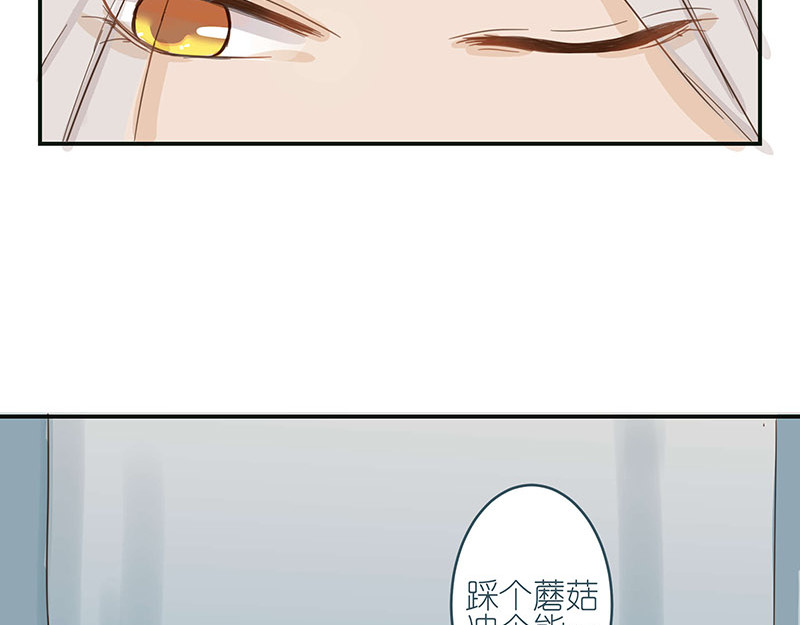神明的仔（光遇同人） 第1章 假寐的神明 第37页