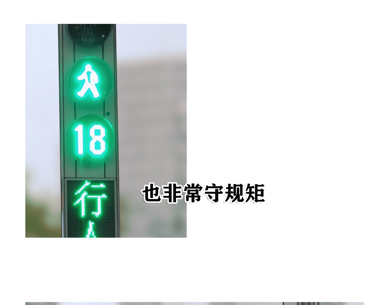 蜘蛛丝 第4话 跟踪 第10页