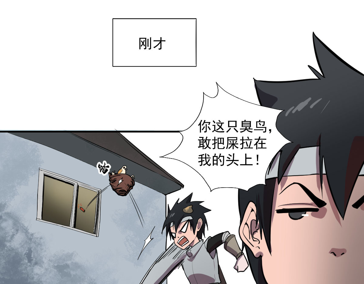 我的代价是头发 第3页