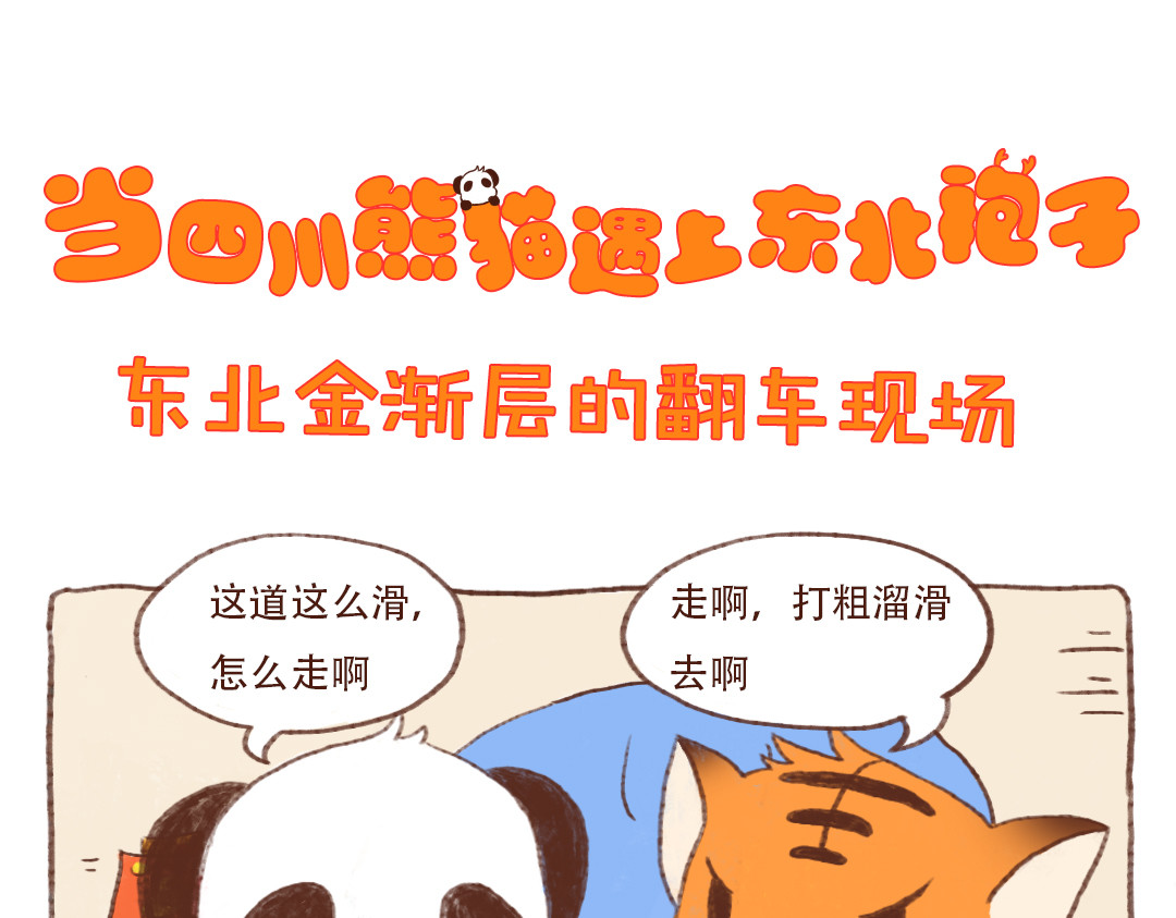 当四川熊猫遇上东北狍子 东北金渐层翻车现场 第1页