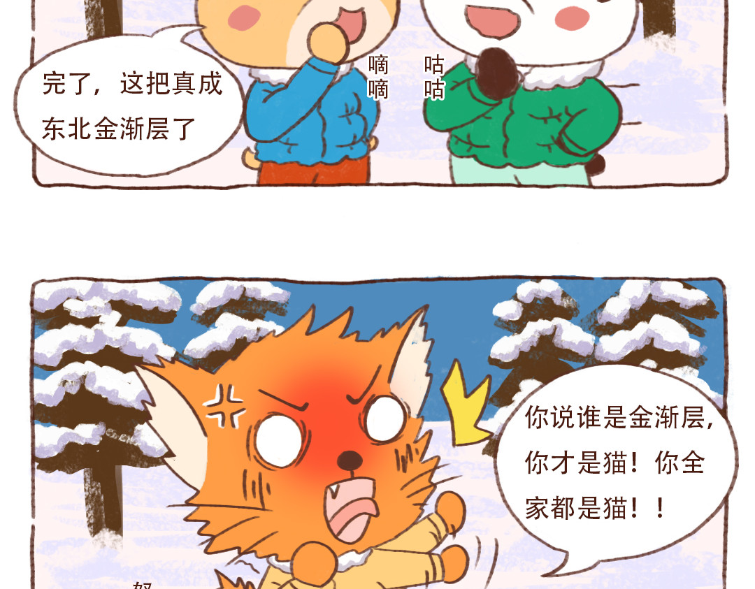 当四川熊猫遇上东北狍子 东北金渐层翻车现场 第7页