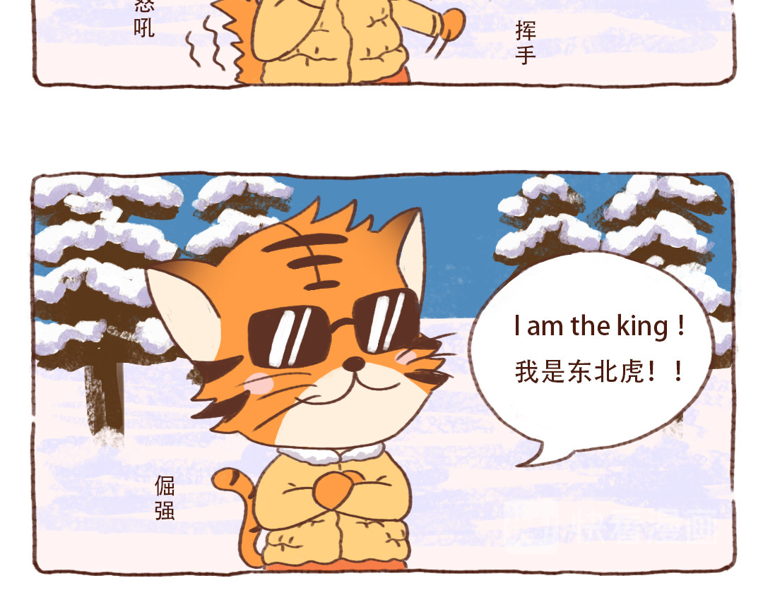 当四川熊猫遇上东北狍子 东北金渐层翻车现场 第8页