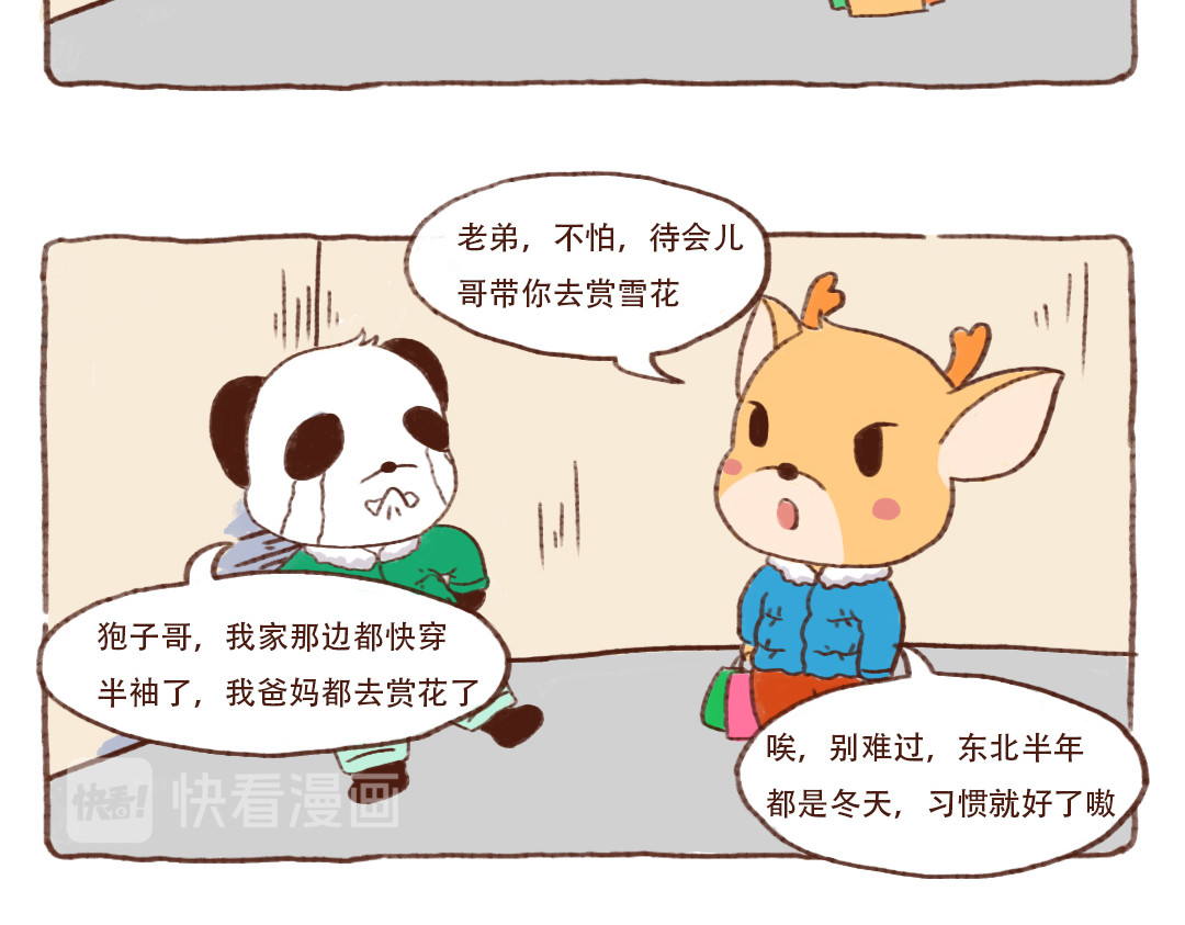 当四川熊猫遇上东北狍子 东北的冬天有多长？ 第14页