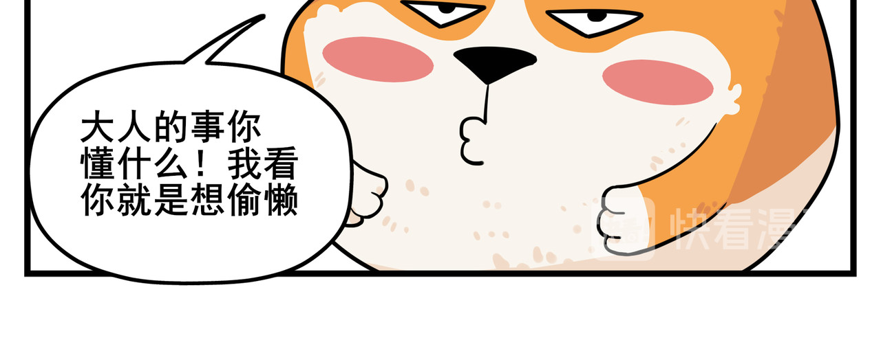 司基拉 司基拉的训练 第13页