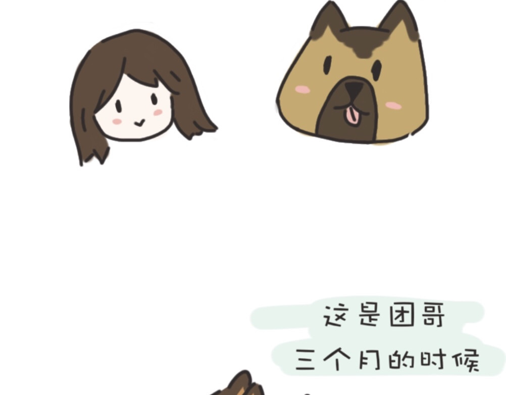 团哥二三事 团哥二三事之生病篇 第2页