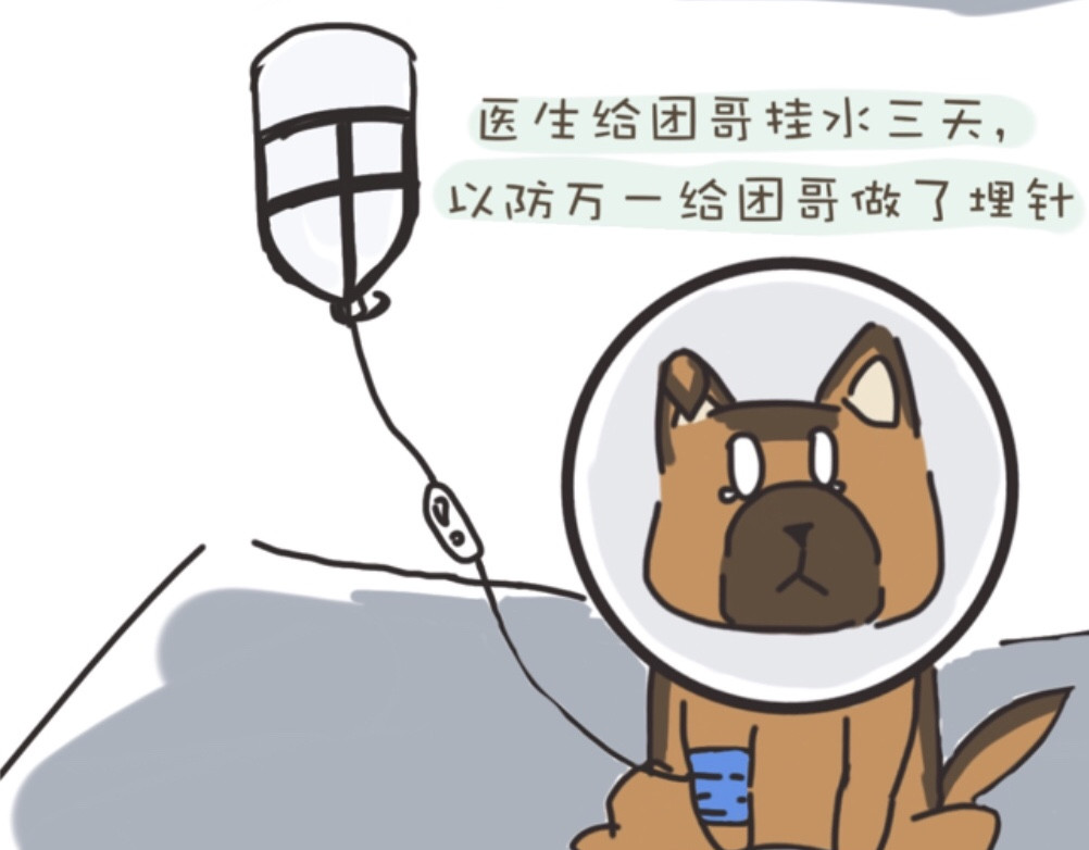 团哥二三事 团哥二三事之生病篇 第12页