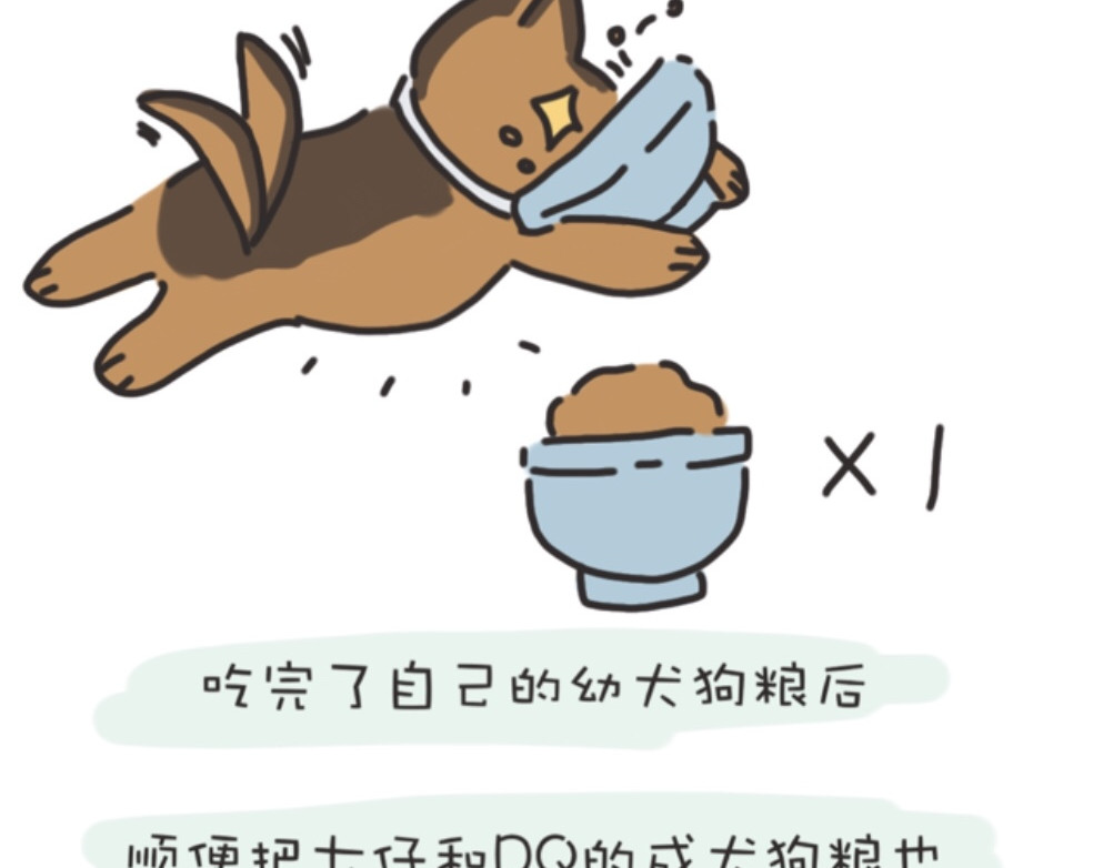 团哥二三事 团哥二三事之生病篇 第3页