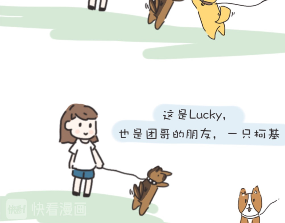 团哥二三事 团哥二三事之生病篇 第25页