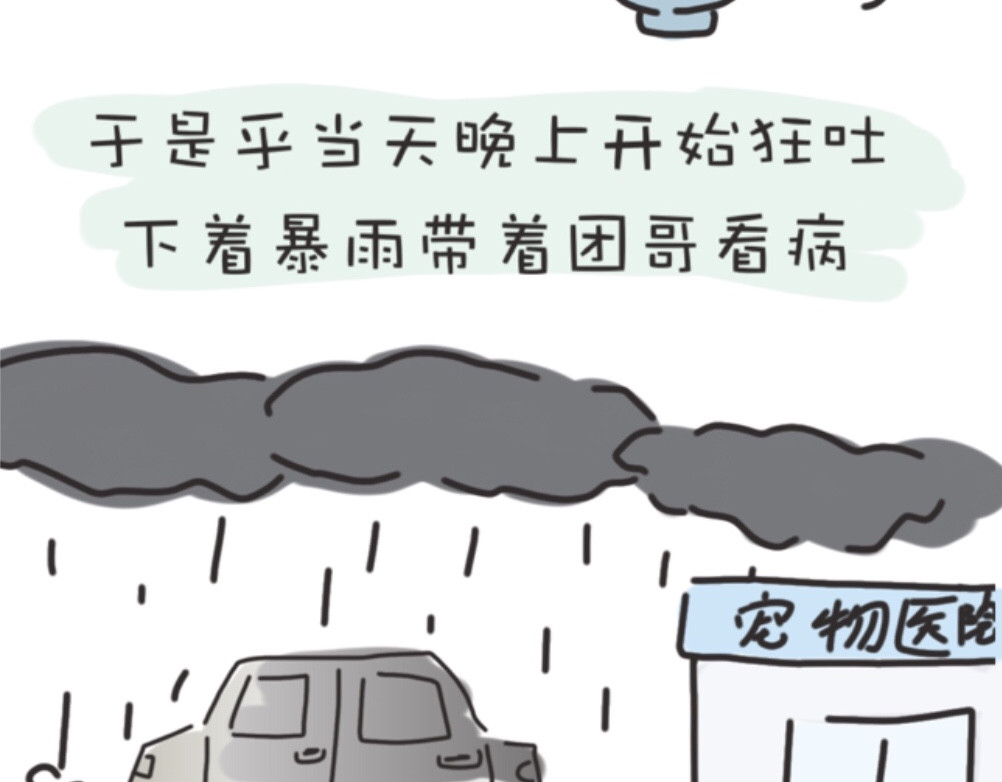 团哥二三事 团哥二三事之生病篇 第5页