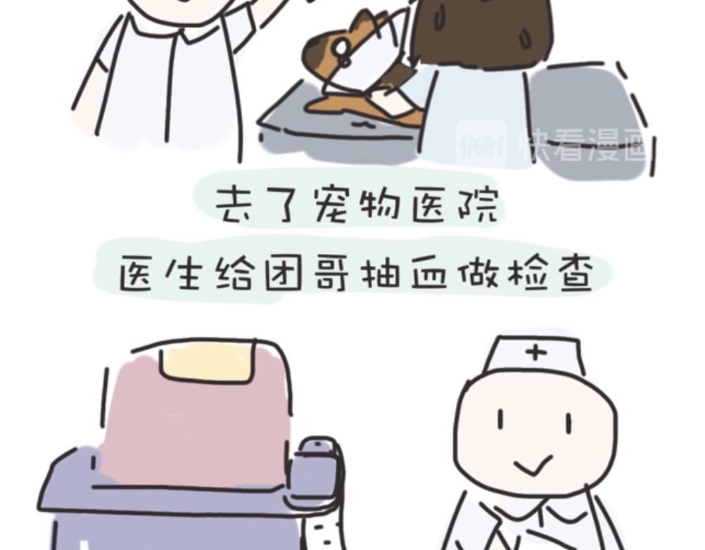 团哥二三事 团哥二三事之生病篇 第10页