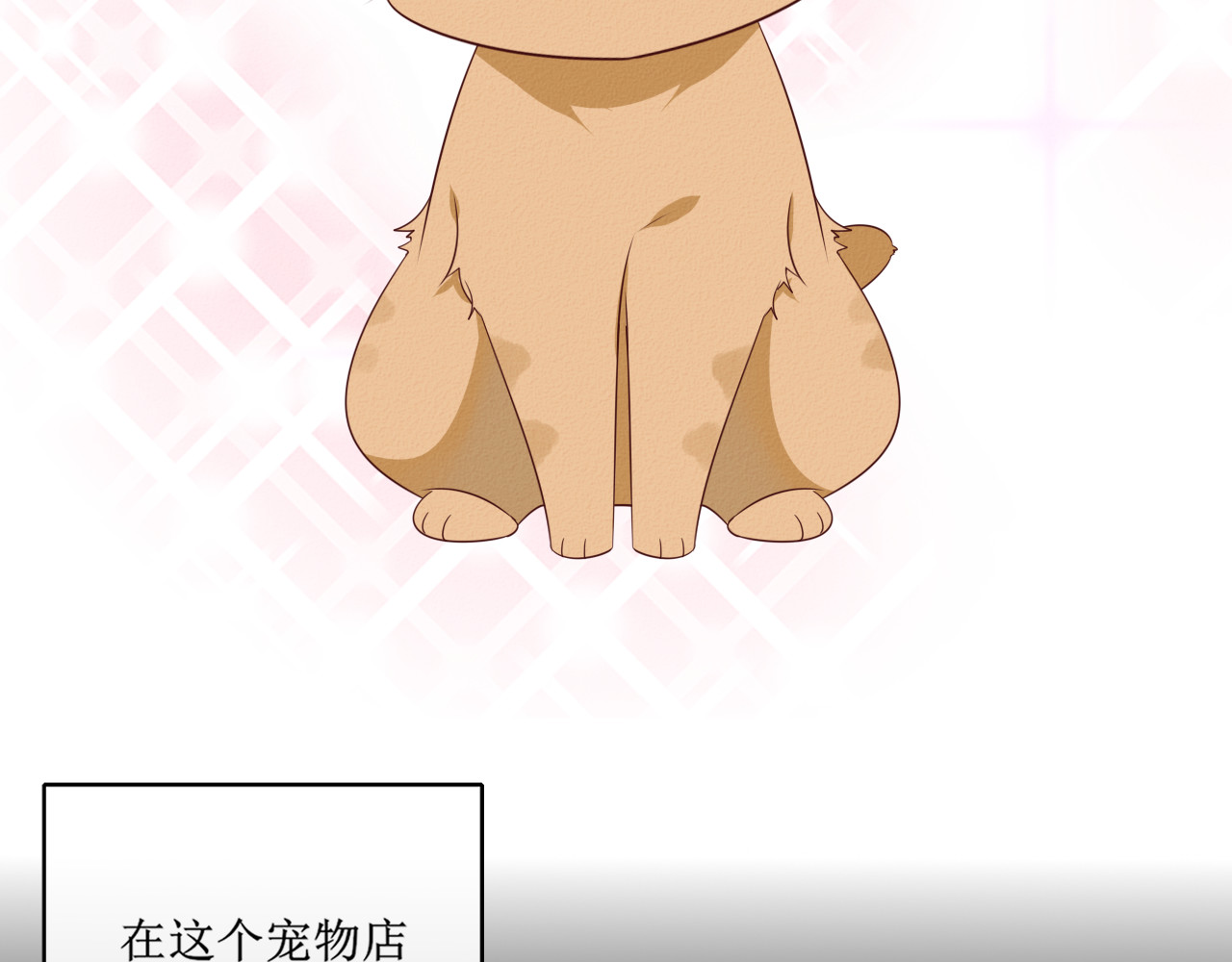 猫里狗气 第二话 教训 第4页