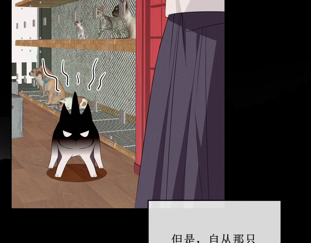 猫里狗气 第二话 教训 第7页