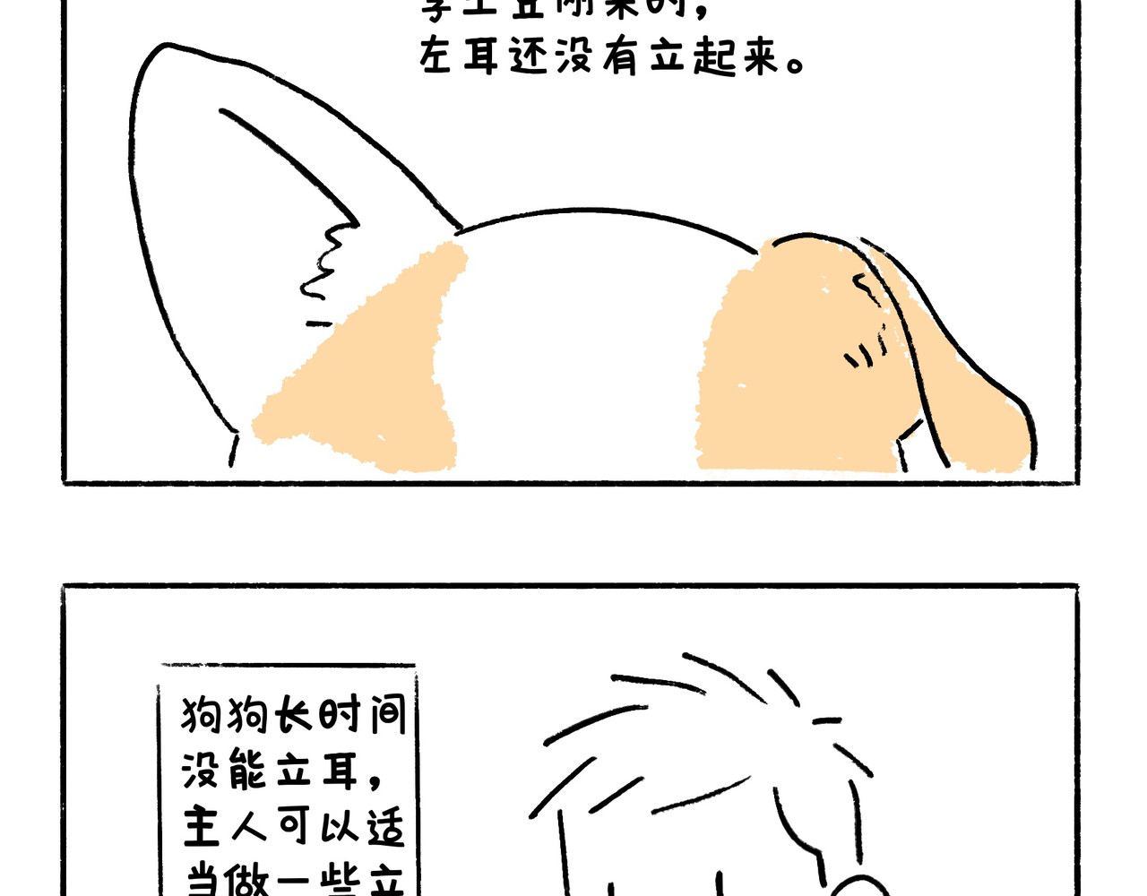 地呱炒土豆 李土豆！就决定是你了！ 第17页