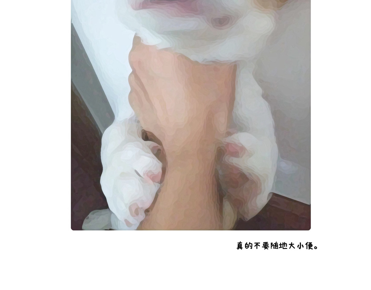 地呱炒土豆 异味？异样？ 第17页