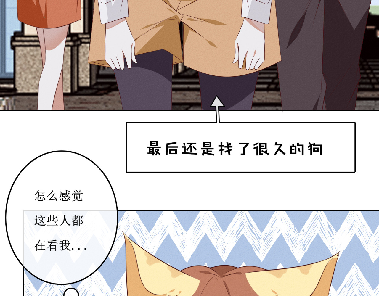 猫里狗气 03 宿敌 第19页
