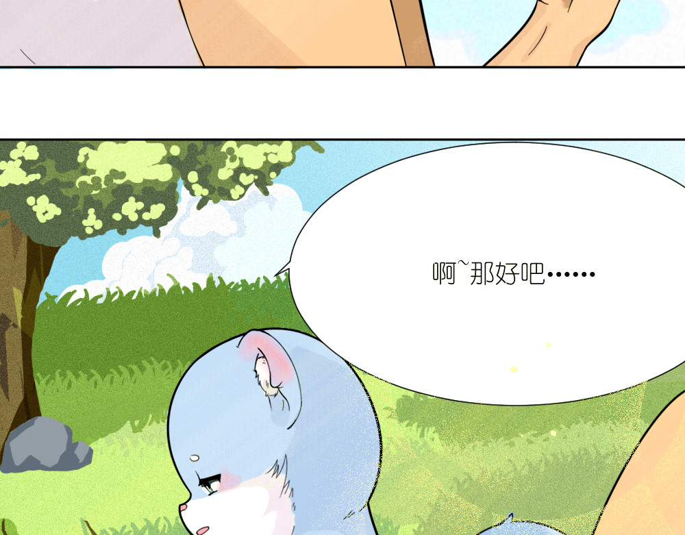 乌拉乌拉刁小禾 怂貂一只！ 第11页
