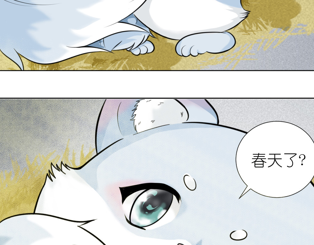 乌拉乌拉刁小禾 小貂出世 第12页