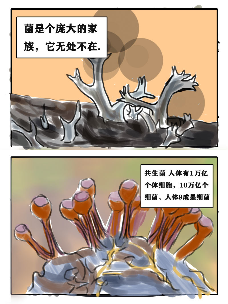 我给穿越者捡尸体 初探异界 第1页