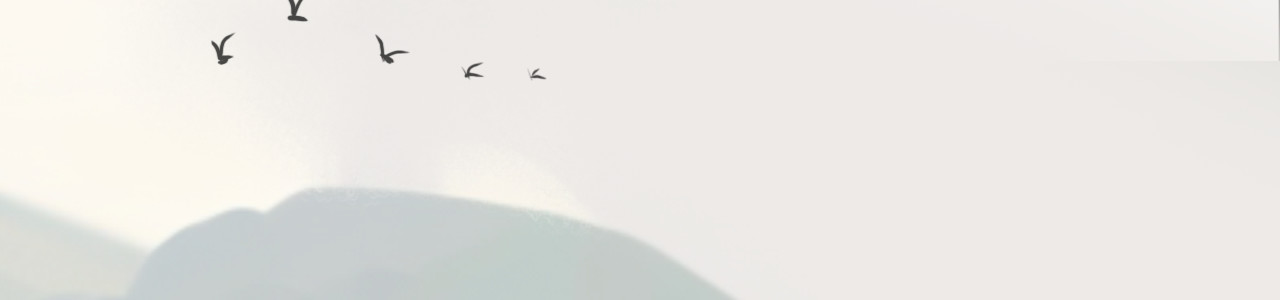 非人师 穿越时空的告白 第111页