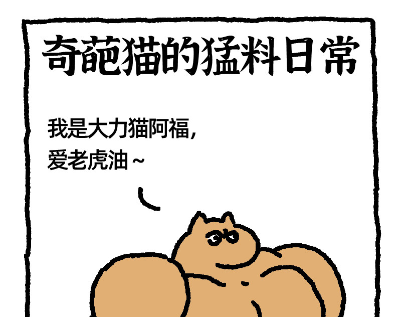 爱老虎油 第3页