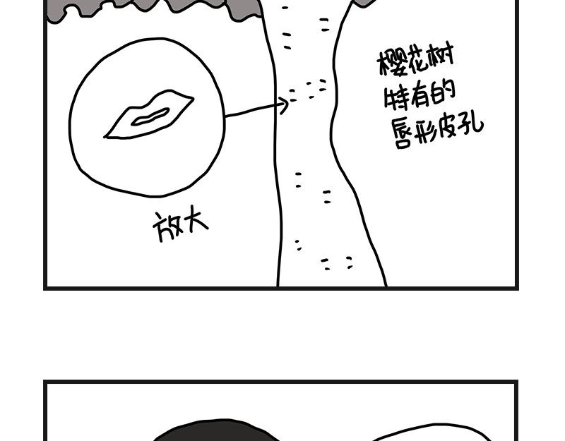 在校女大学生 打赌 第22页