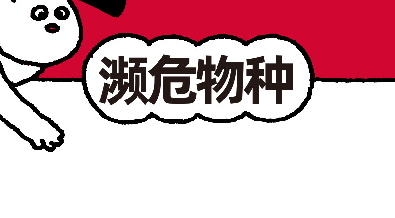 爱老虎油 濒危物种 第2页